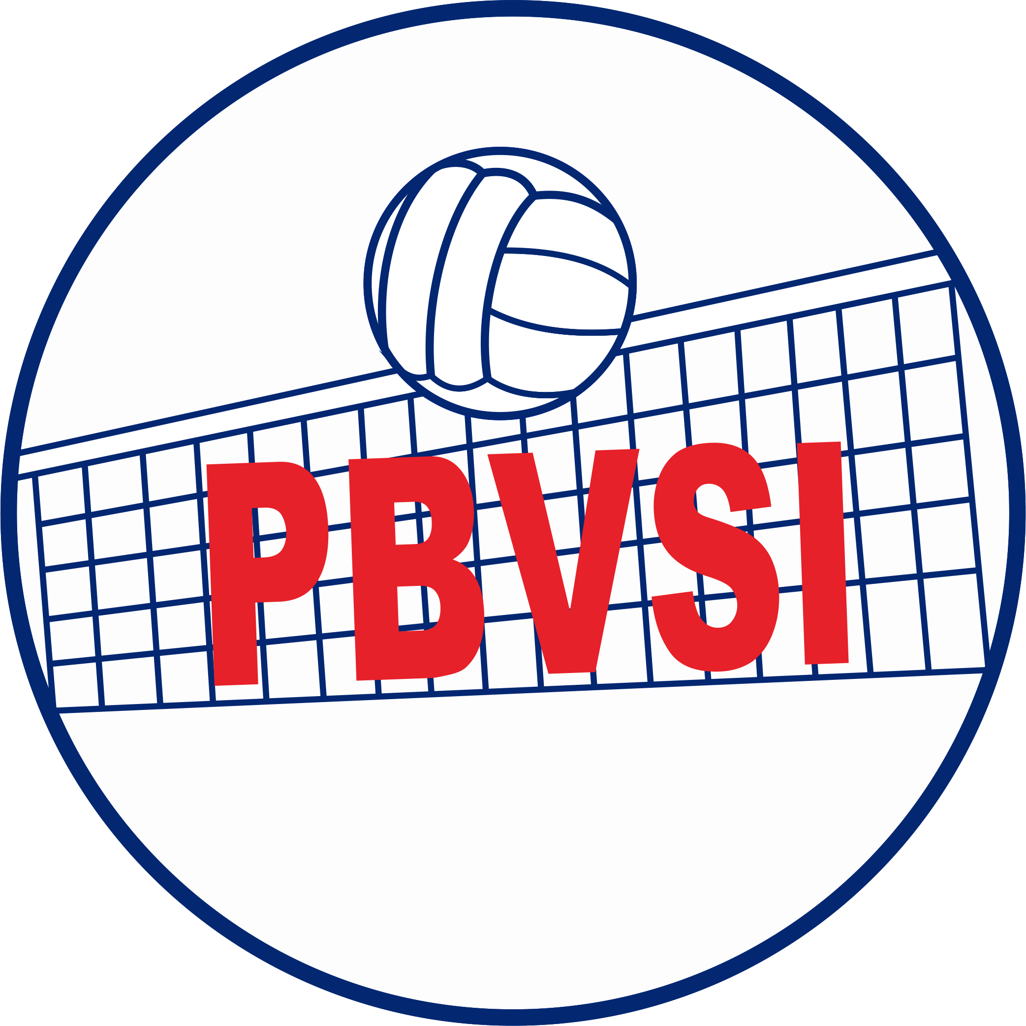 Logo PBVSI